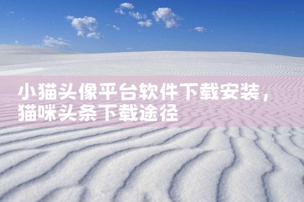 小猫头像平台软件下载安装