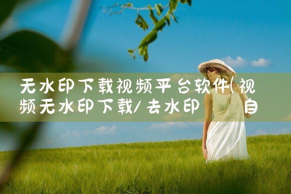 无水印下载视频平台软件