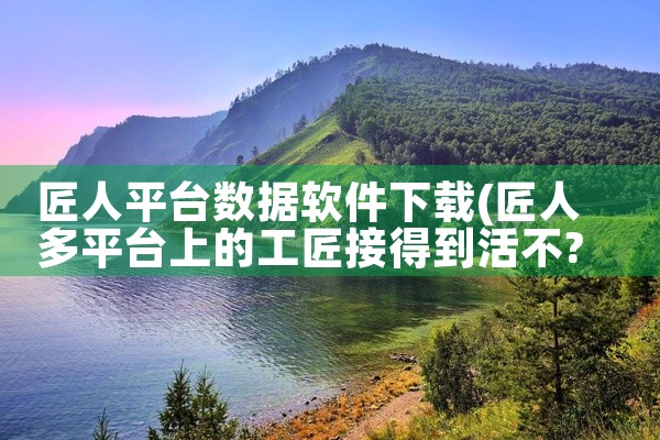 匠人平台数据软件下载