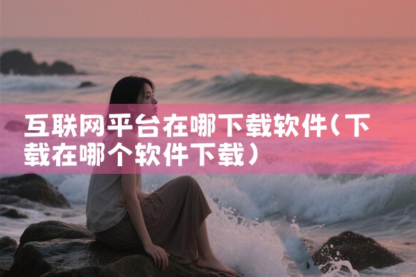 互联网平台在哪下载软件