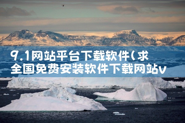 9.1网站平台下载软件