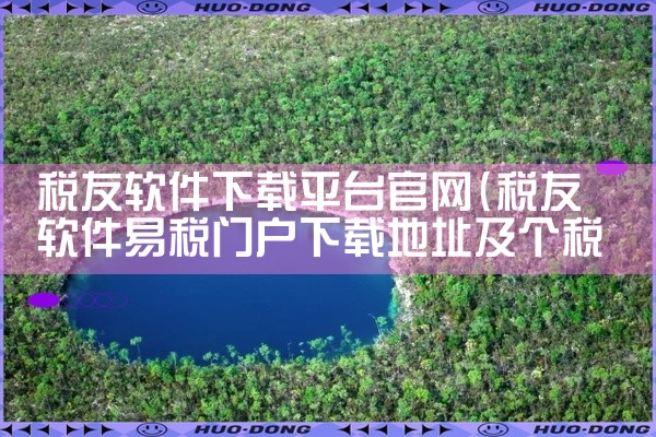 税友软件下载平台官网