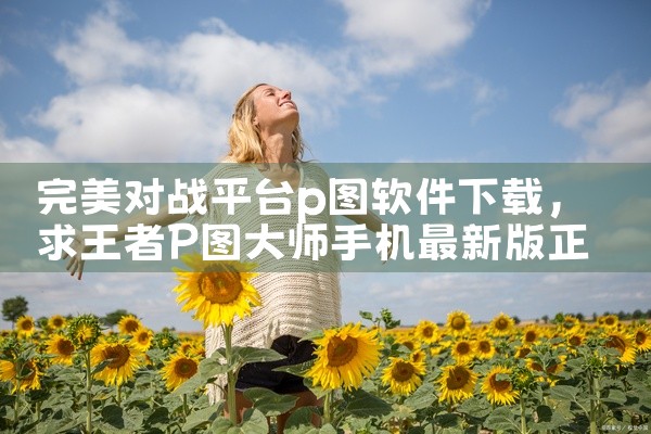 完美对战平台p图软件下载