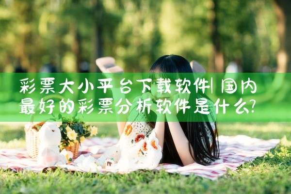 彩票大小平台下载软件