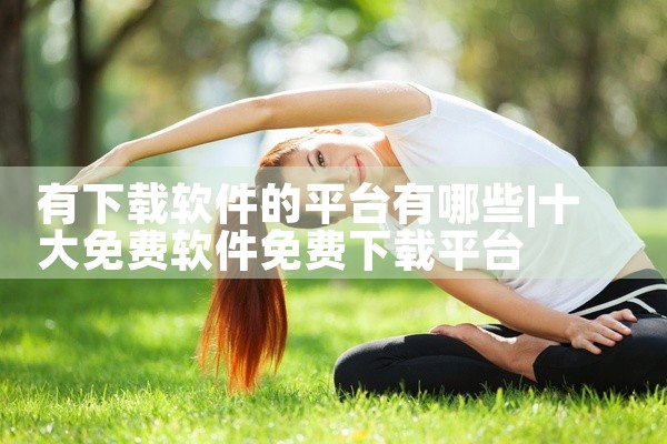 有下载软件的平台有哪些