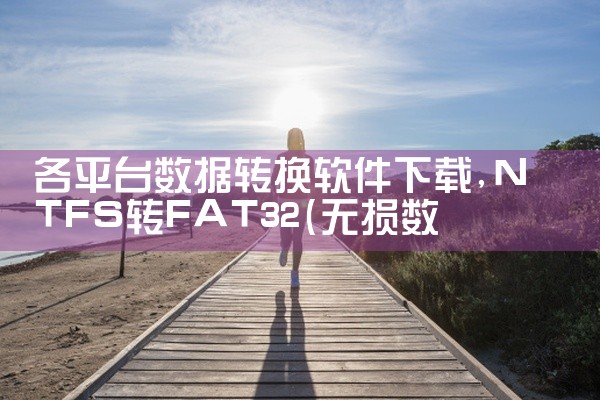 各平台数据转换软件下载