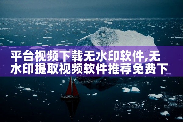 平台视频下载无水印软件