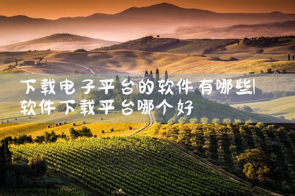 下载电子平台的软件有哪些